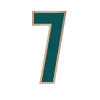 7️⃣