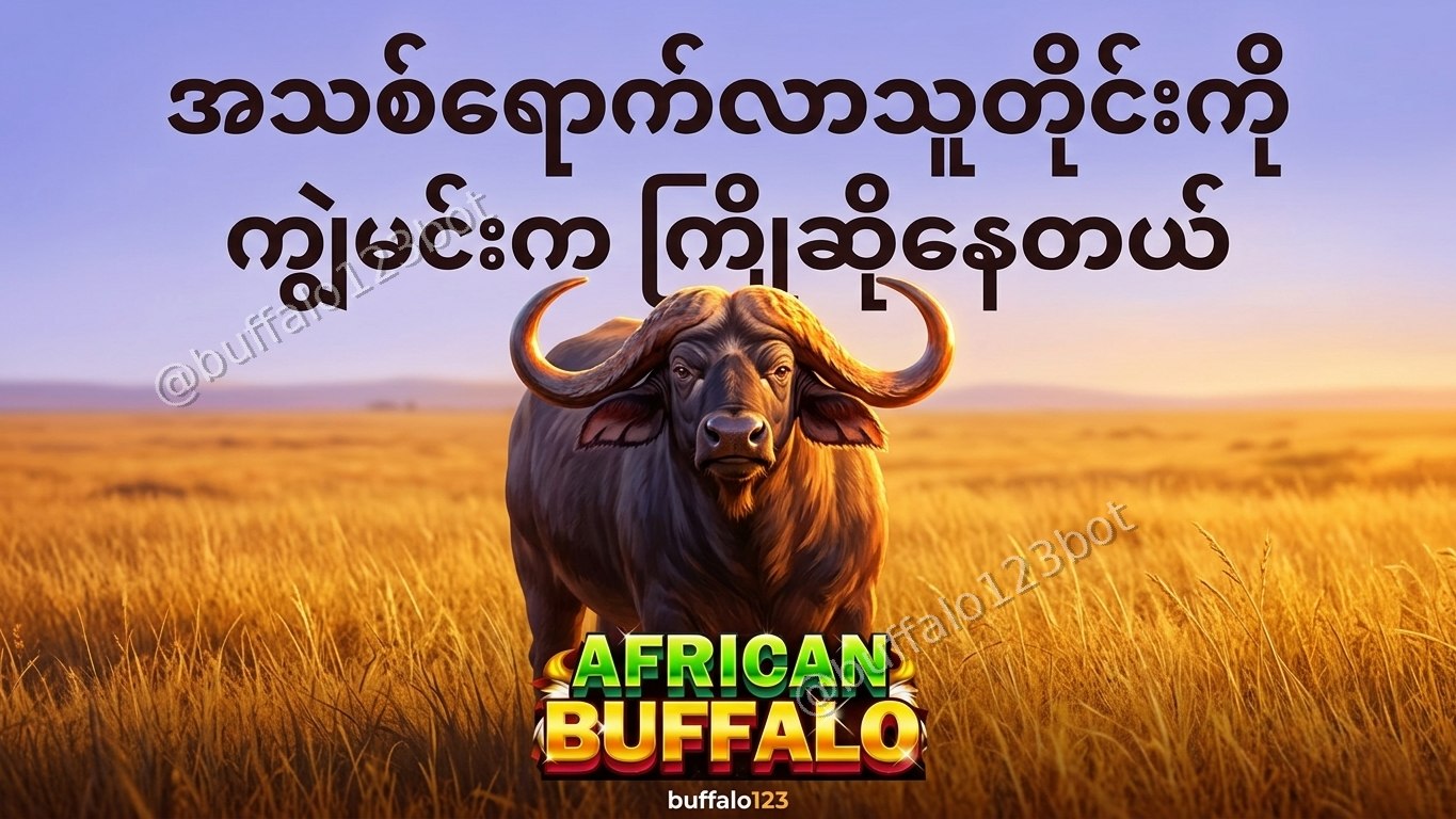 ကျွဲဂိမ်း Buffalo123 Official
