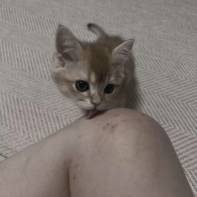 @lissssss11_11