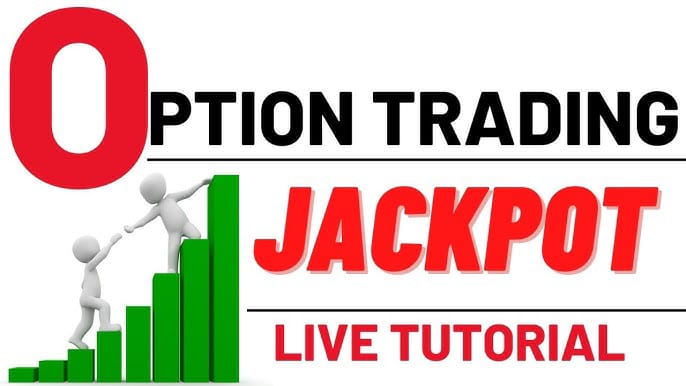 Dilpreet Brar (professional & Education