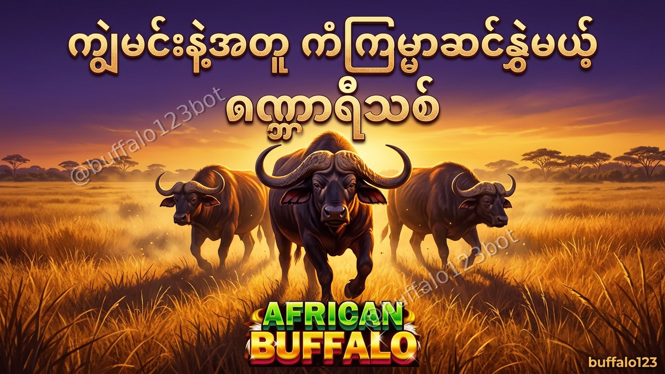 ကျွဲဂိမ်း Buffalo123 Official