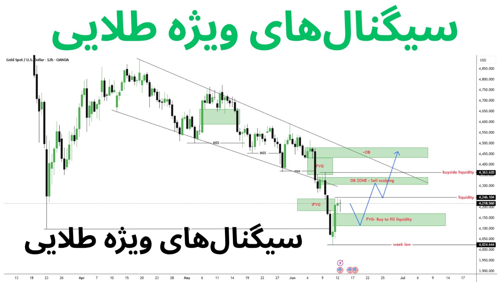 معامله‌گر حرفه‌ای طلا