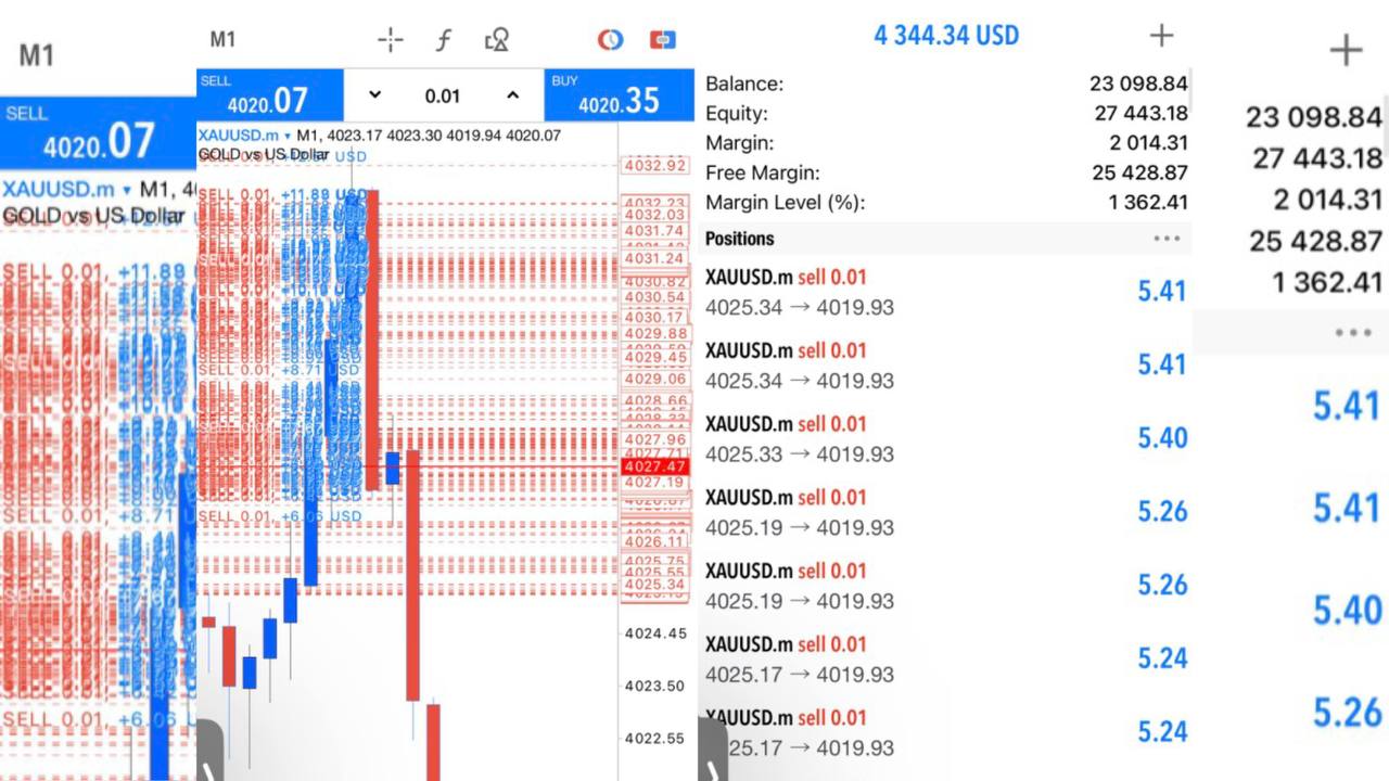 Arep Trader Flip