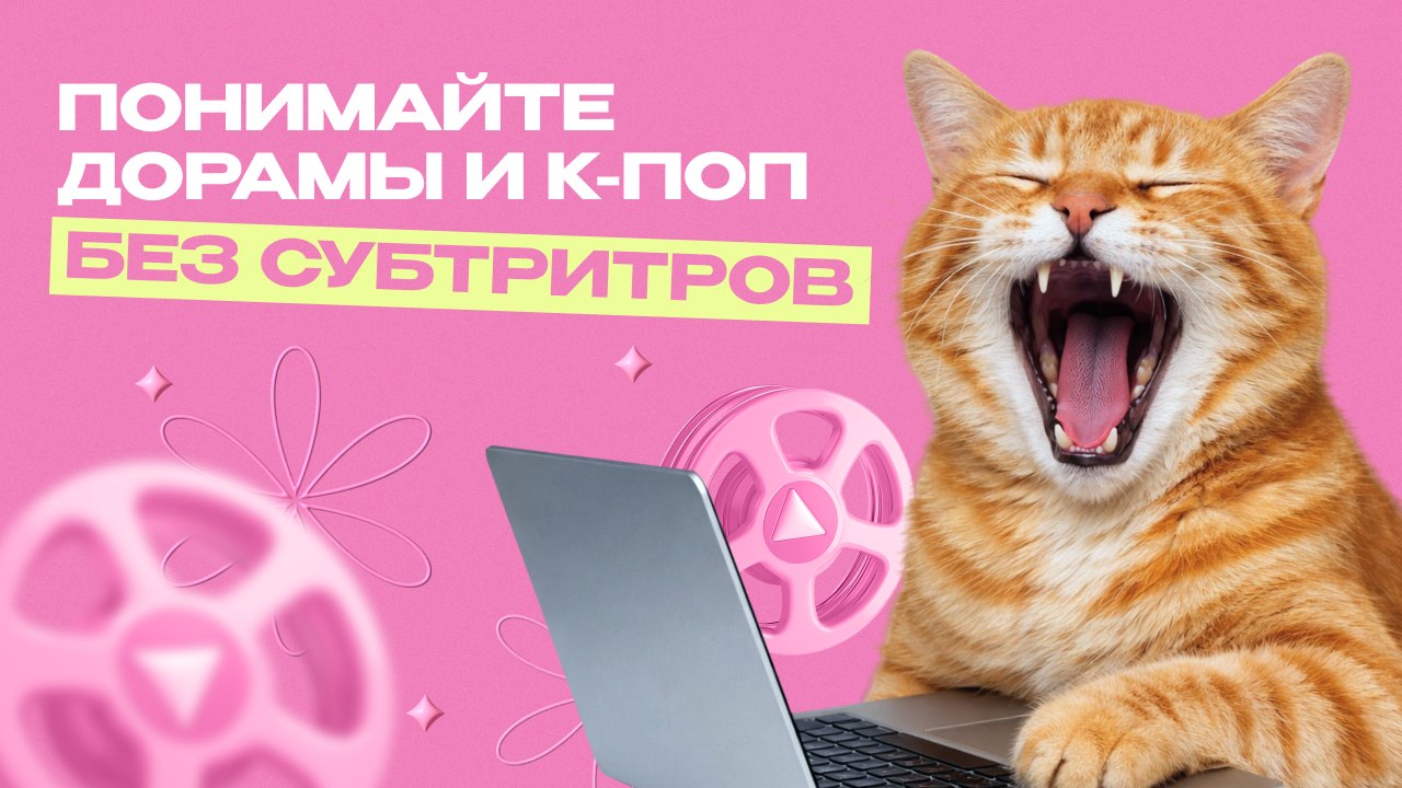 88 уроков и много разговорной практики