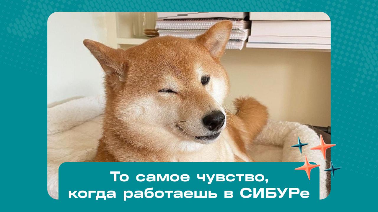 Карьера в СИБУРе. Новый