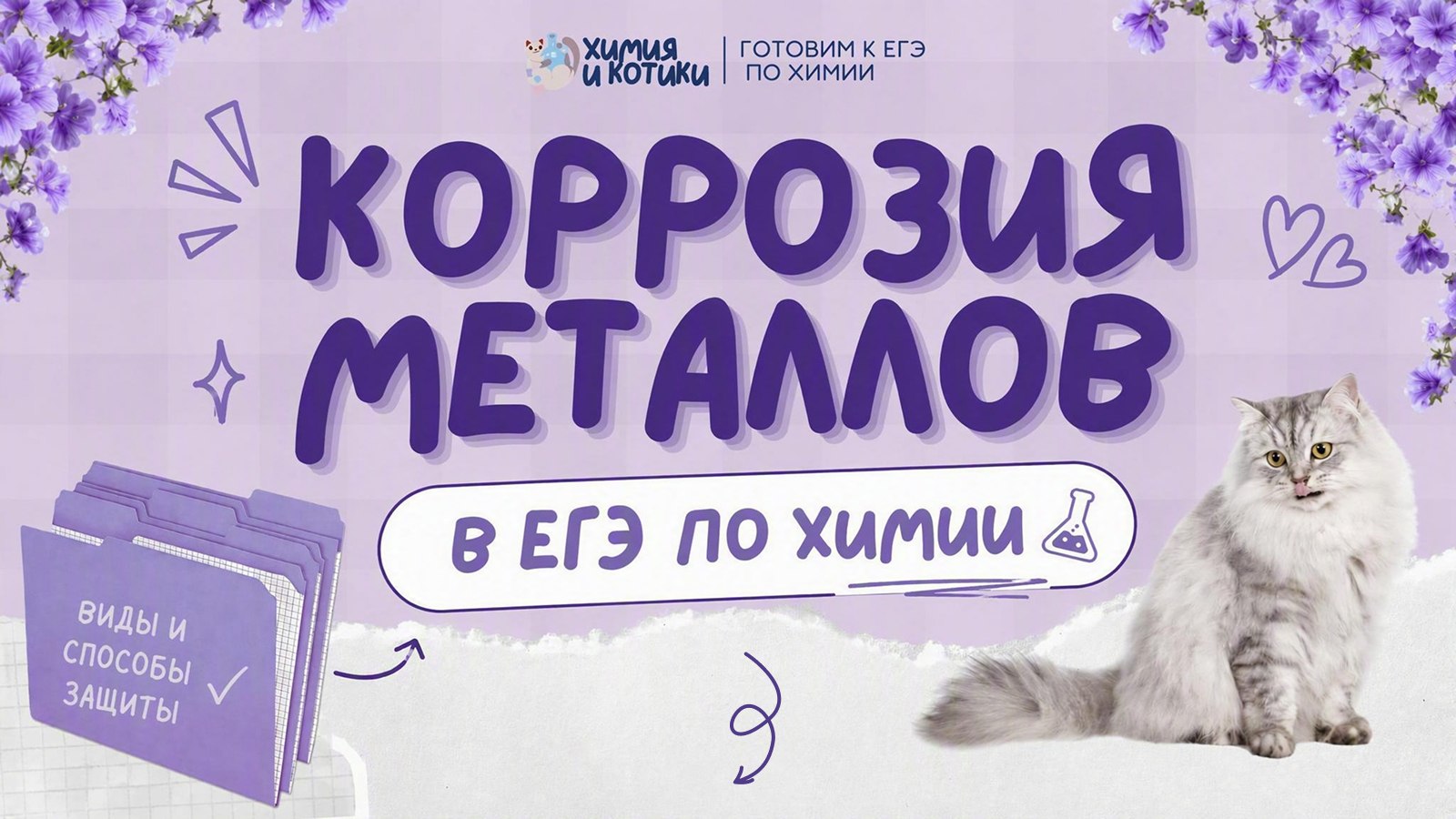 химия и котики / ЕГЭ ОГЭ Стадикэтс