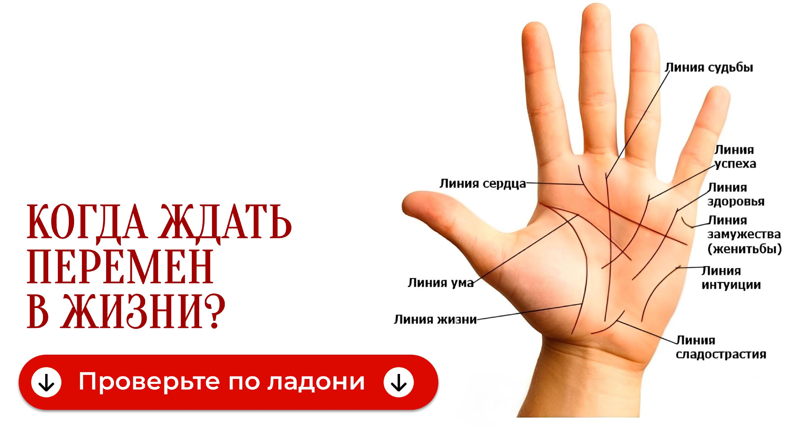 Николай | Линии Судьбы