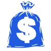 💸