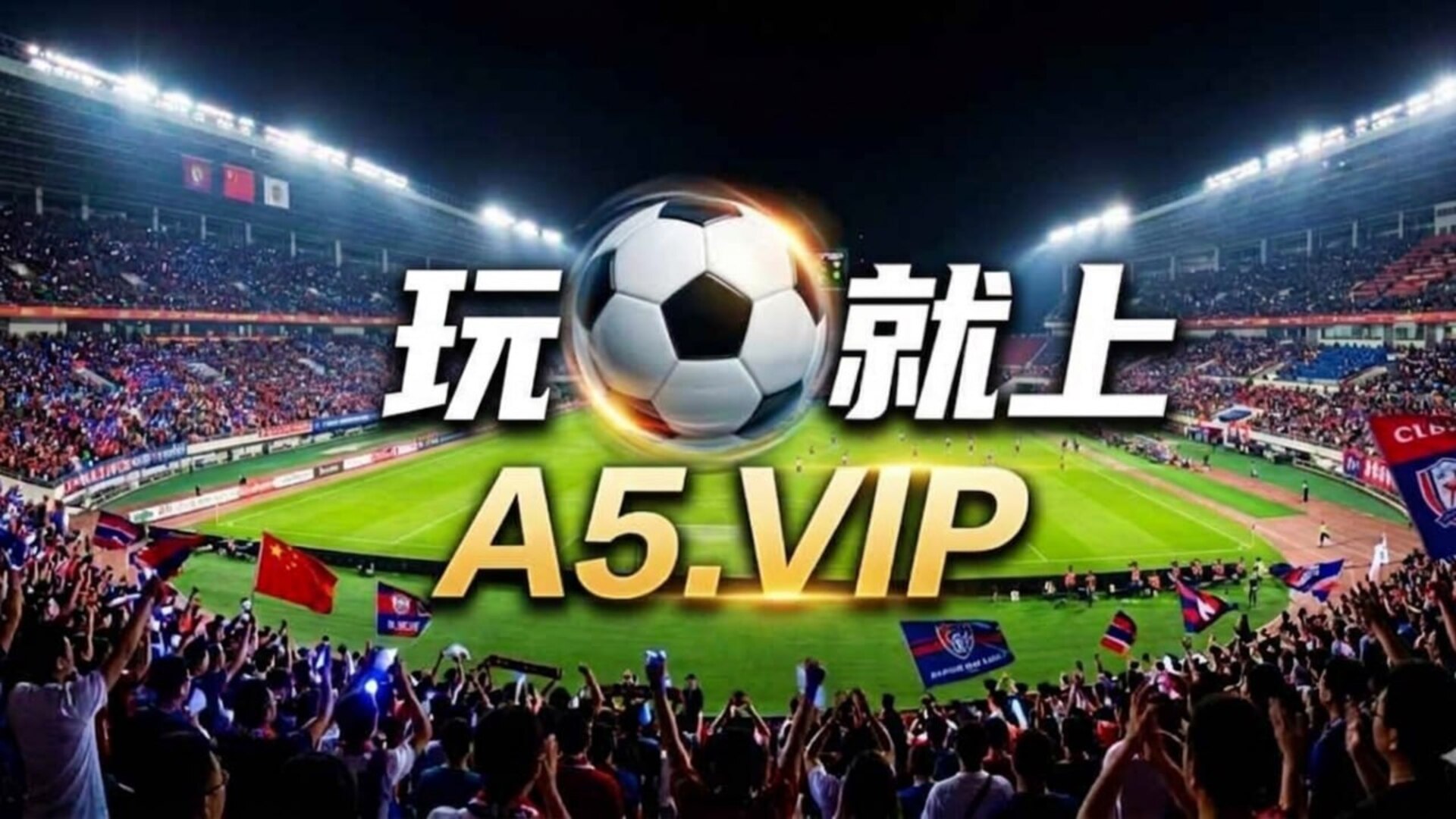 A5机器人