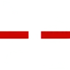 🦣